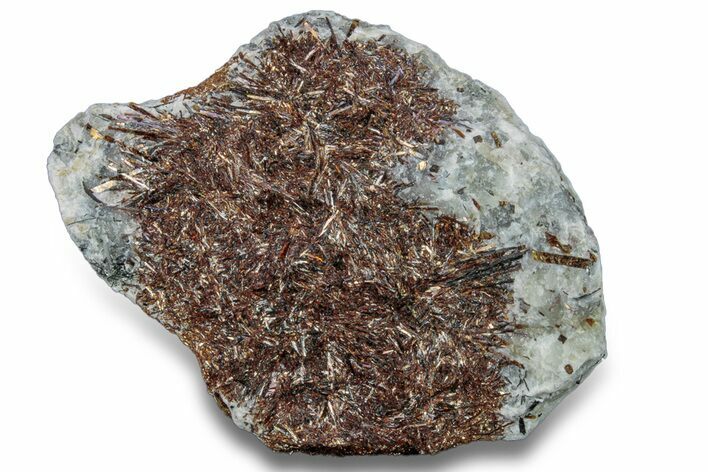 Golden-Brown, Radiating Astrophyllite - Kola Peninsula, Russia #255091